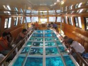 Glass-Bottom Boat in Sharm El Sheikh