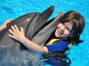 Swimming with Dolphins in Sharm El Sheikh