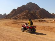 Super Safari with Dinner and Show
