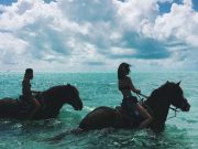 Horseback Riding: Desert or Beach