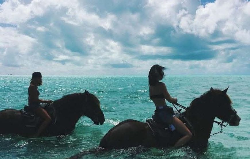 Horseback Riding: Desert or Beach