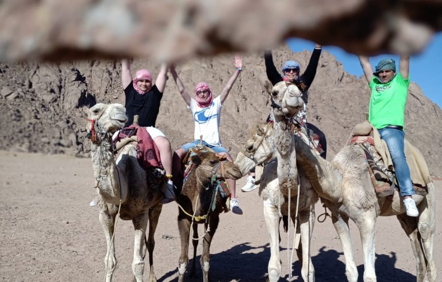 Mega Safari 7-in-1 Sharm El Sheikh