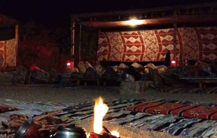 Super Safari with Dinner and Show